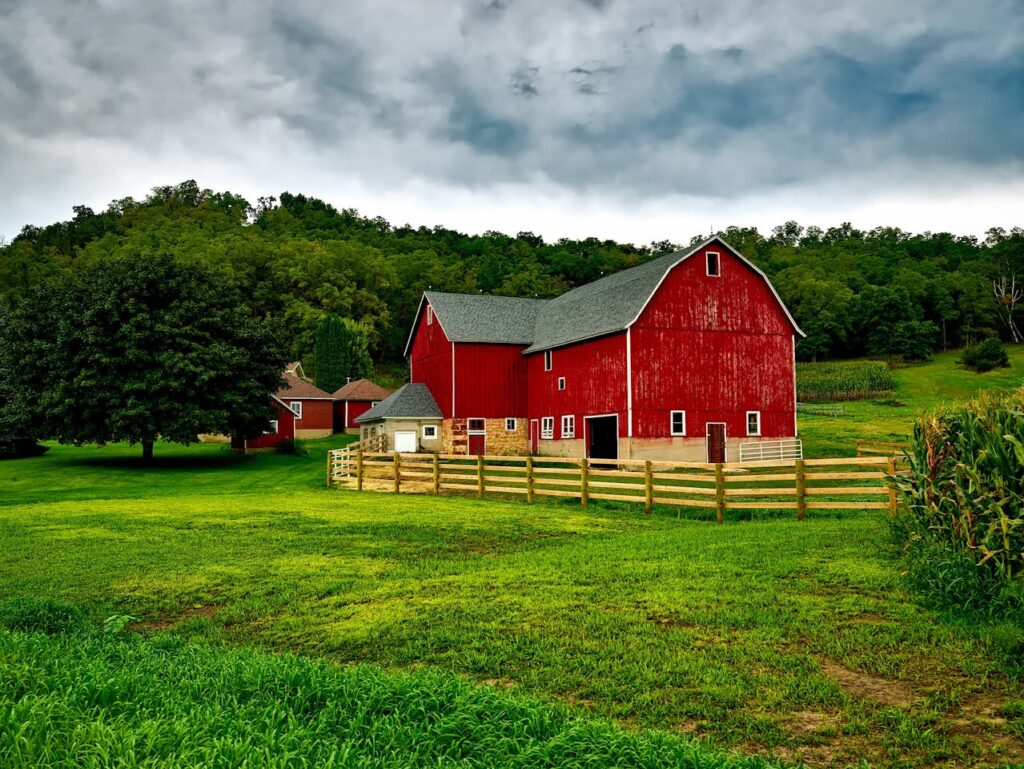 State Farm Insurance